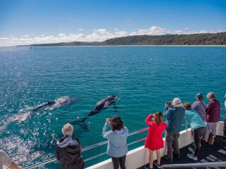 Kingfisher Bay Resort