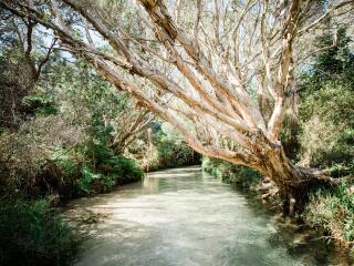 Kingfisher Bay Resort - Eli Creek