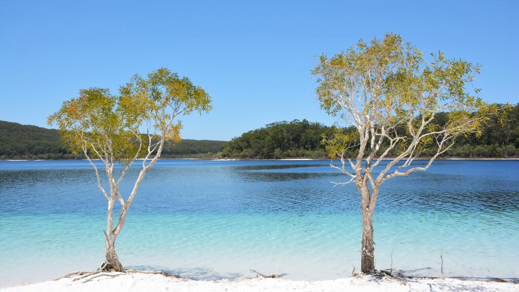 Kingfisher Bay Resort - Lake