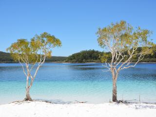 Fraser Island & Kingfisher Bay Resort